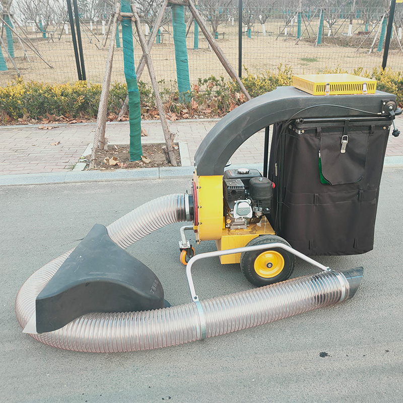 미니 차량용 휘발유 엔진 장착 모터 및 기어가 있는 정 - Power Tools Vacuum 리뷰 및 가격